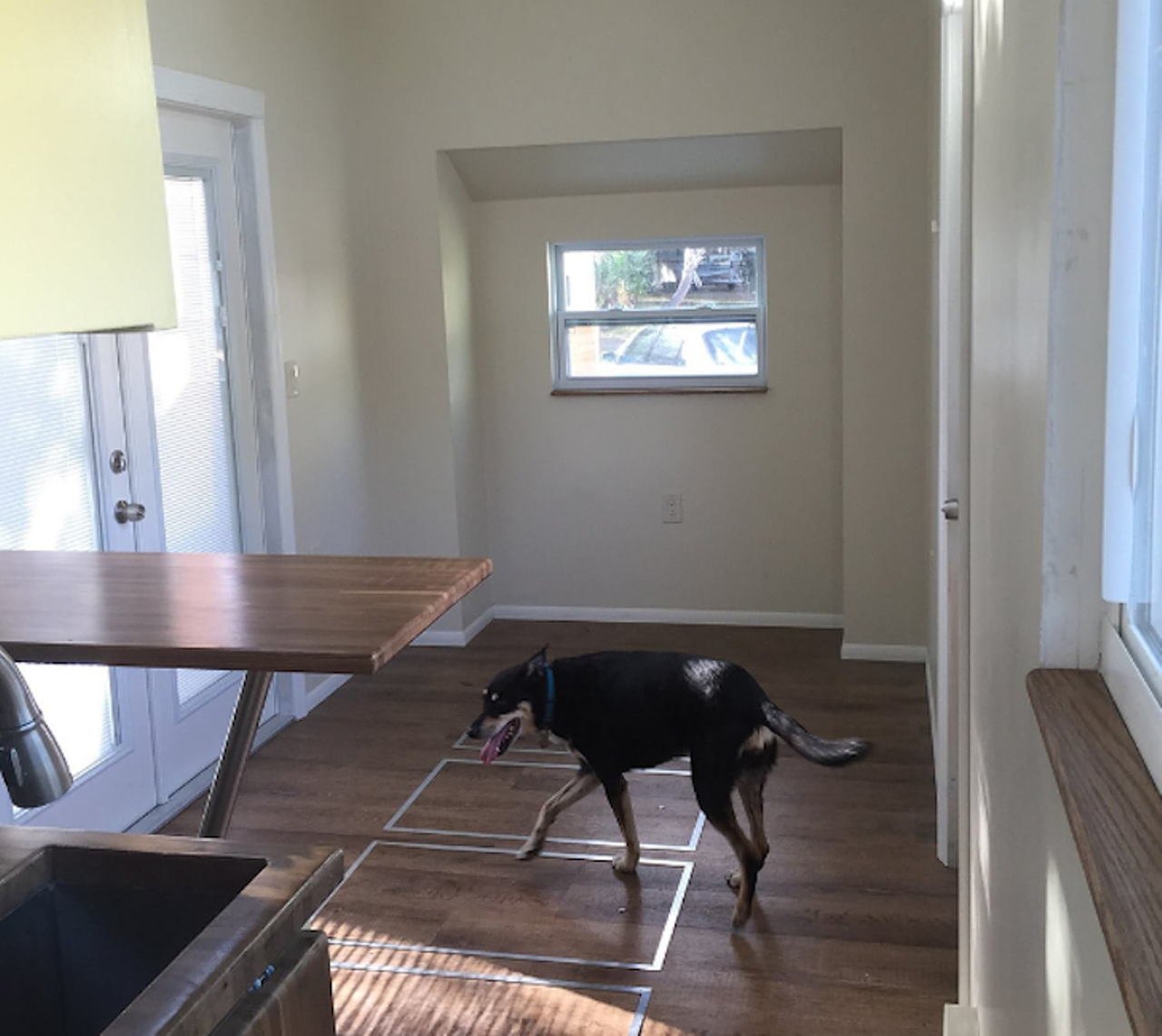 Little Sunshine
Location: Leesburg
Price: $59,000
Size: 225 sq. ft.
A great living room area surrounded by natural light filtering in from windows. It's just asking for game nights, wine nights or playing with your pup times ... although this adorable pup is not included. 