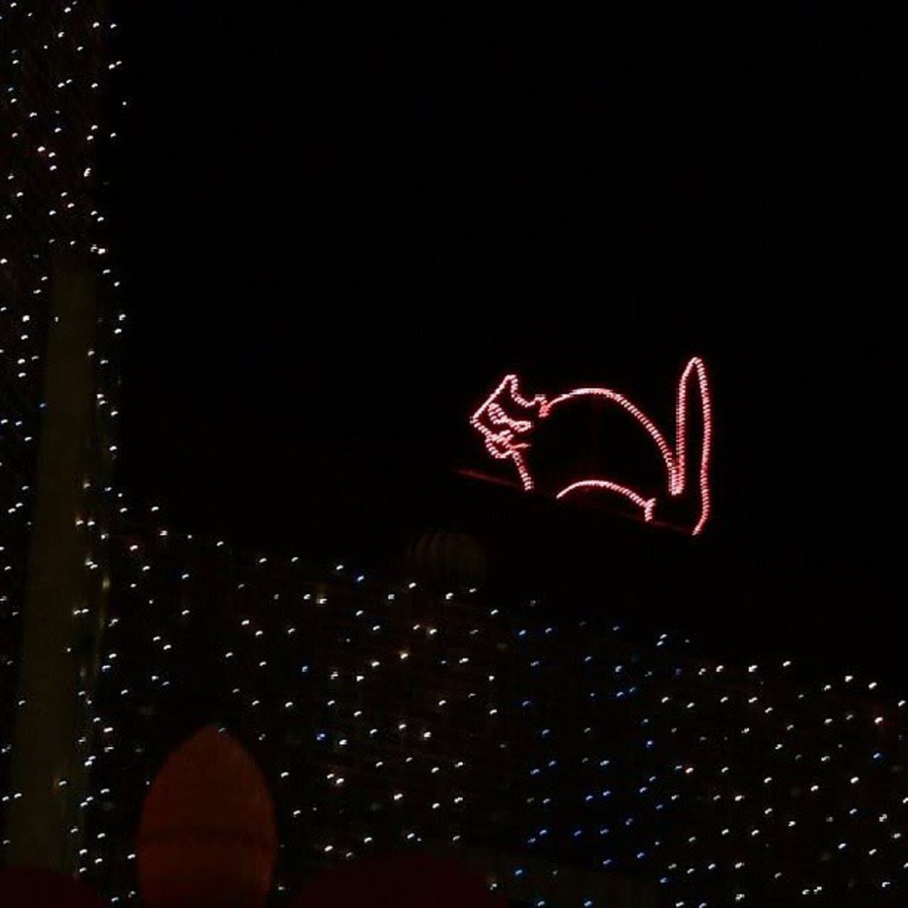 During the annual Osborne Family Spectacle of Dancing Lights at Disney's Hollywood Studios, Disney always hides a black cat for guests to find, as well as 50 hidden Mickeys.