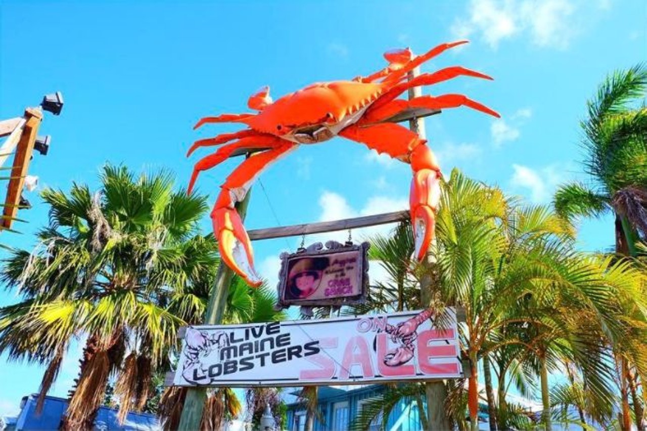 Ms. Apple's Crab Shack
580 W Merritt Island Cowy, Merritt Island, FL 32952
Eat and buy at Ms. Apple's Crab Shack in Merritt Island - this fresh seafood market and takeout offers wild blue crab and live Maine lobster. 
Photo via zhinky2012/Instagram