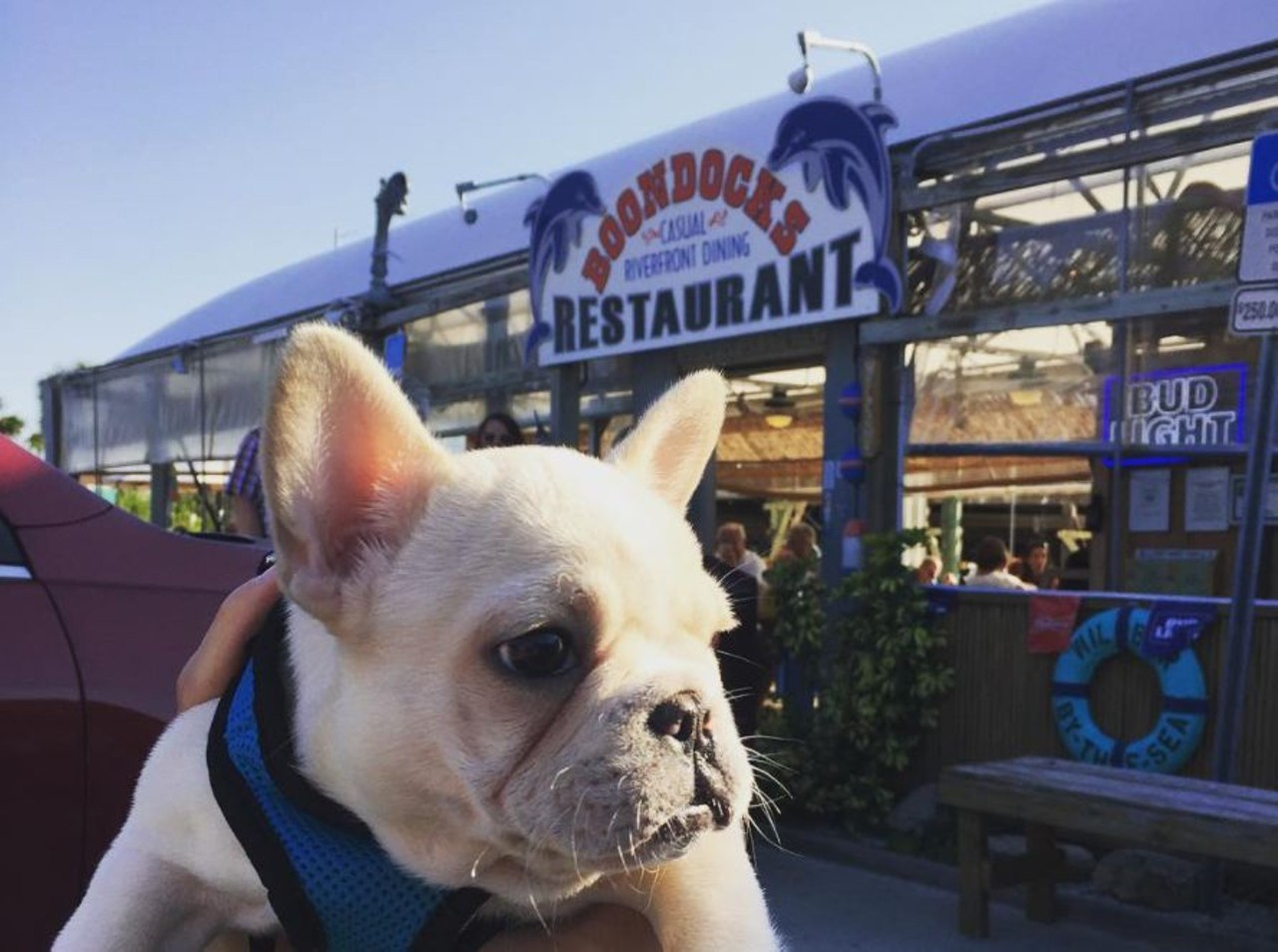 Boondocks Restaurant
3948 S Peninsula Dr, Port Orange, FL 32127
If you can resist finishing up your entire meal, feed the fish at Boondocks - a bar and restaurant ideal for watching the sunset after a long day at the beach down the road. Plus, their patio is pet friendly!
Photo via thorthefrenchbull/Instagram