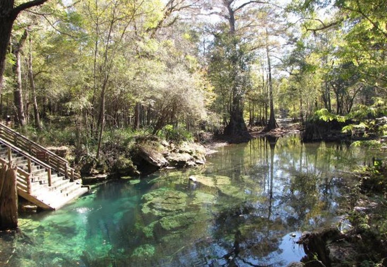 Wes Skiles Peacock Springs State Park   
180th St., Live Oak, 386-776-2194
Come here and explore the nearly 33,000 feet of surveyed underwater passages. There&#146;s no shortage of underwater fun here with a spring run and six sinkholes.
Photo via Florida State Parks
