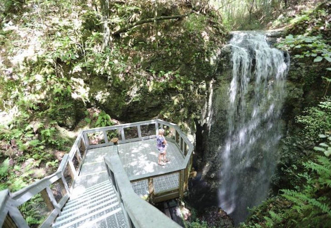 Falling Waters State Park   
1130 State Park Road, Chipley, 850-638-6130
Come visit Florida&#146;s highest waterfall and watch as it falls over 70 feet and disappears into the sinkhole at its base. Visitors can stand on the viewing deck to watch, but it still hasn&#146;t been determined where the water&#146;s final destination is once it enters the hole.
Photo via Florida State Parks