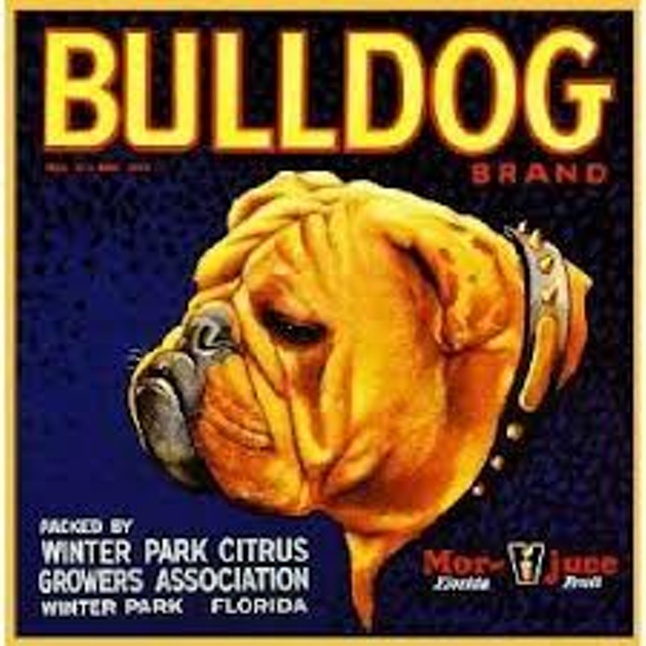 Bulldog brand of winter park, via popscreen