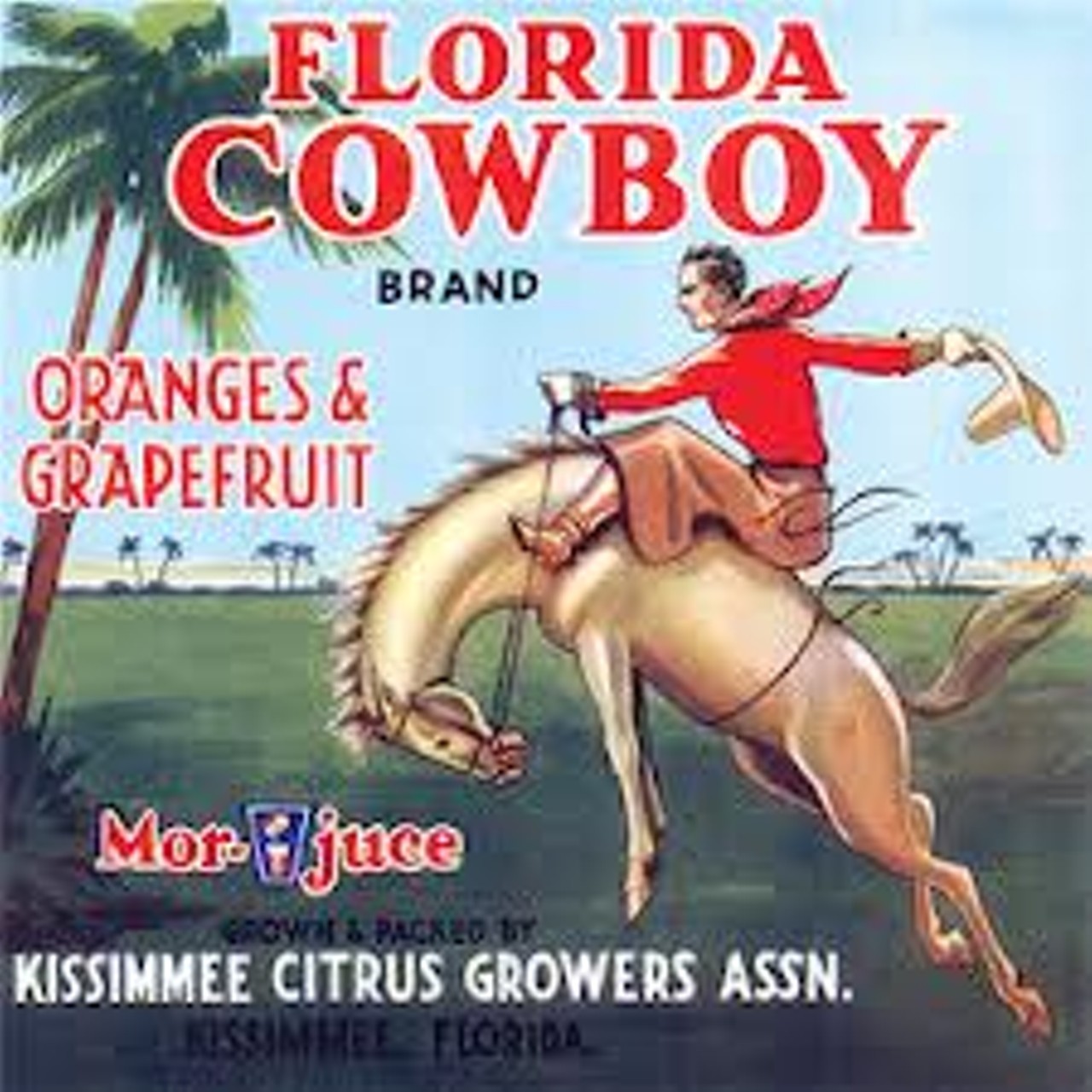 Florida Cowboy of kissimmee, via ebay.com