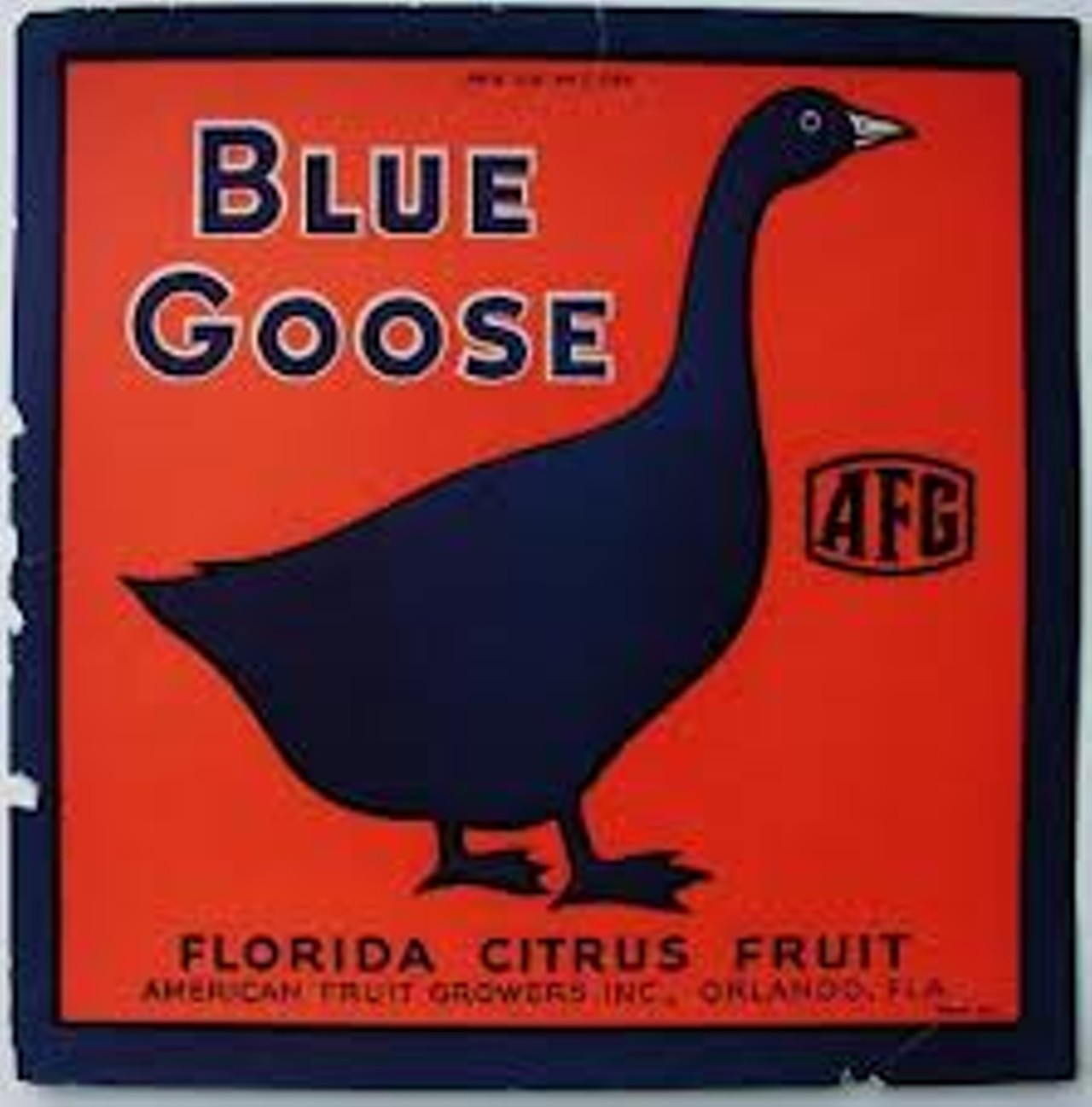 The industry has declined significantly in recent years, but it left behind a really cool legacy: Beautiful labels, pieces of art, that adorned the crates oranges and grapefrults were shipped in. This is a gallery of some of our favorite vintage citrus-crate labels from Central Florida groves. Blue Goose Citrus in Orlando, via thelabelman