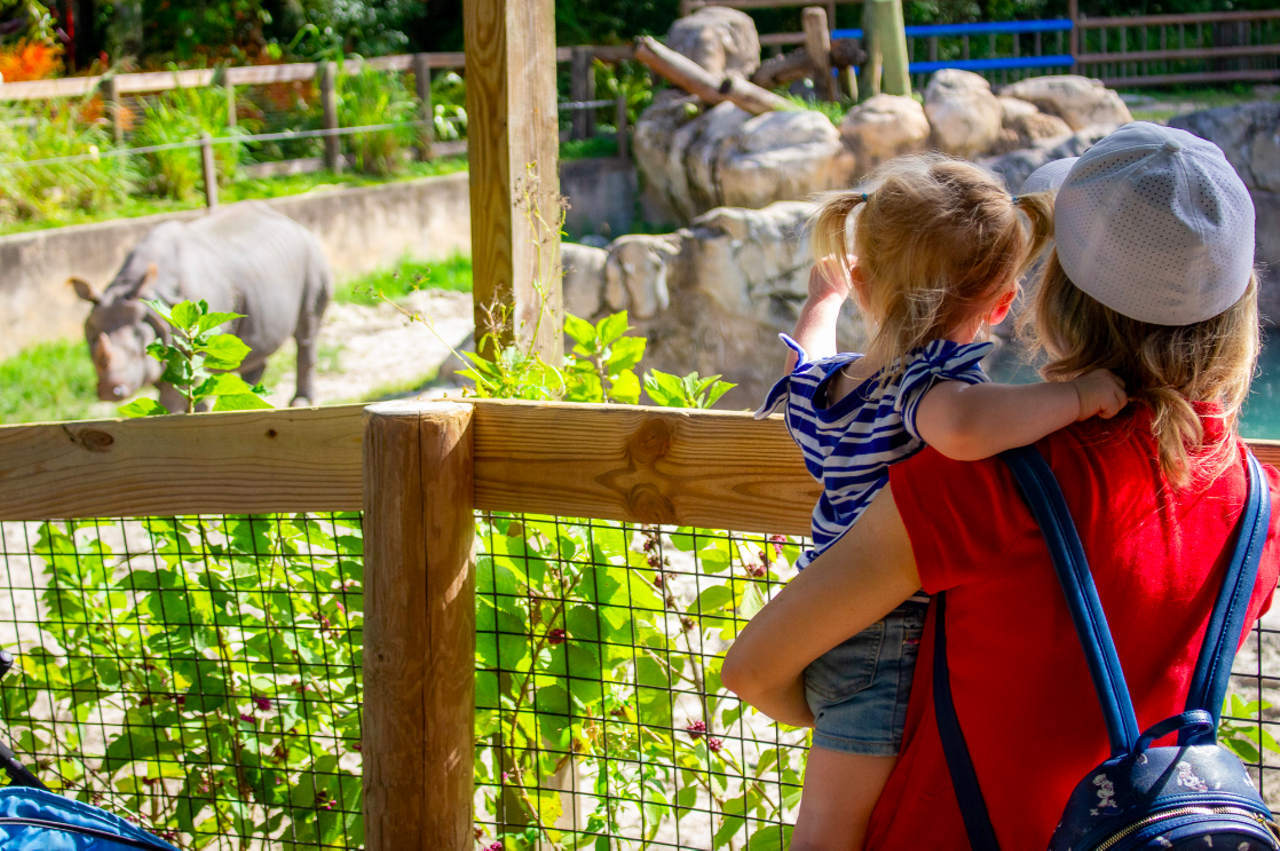 Central Florida Zoo
3755 W. Seminole Blvd., Sanford
The Central Florida Zoo & Botanical Gardens is a relatively cheap spot perfect for a summer day with little ones. The zoo offers scads of animal viewings and tons of educational opportunities, with general admission tickets ranging from $15 to $25, depending on the time of year and age of the ticket holder (but the extra-little ones age 2 and below get in free).