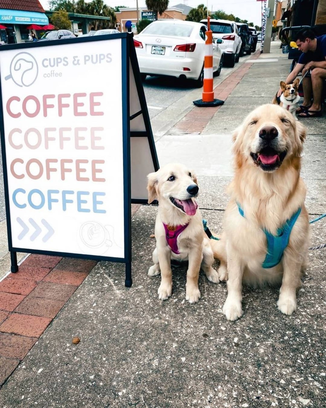 Cups and Pups Coffee 
1307 Edgewater Dr, Orlando, FL 32804, (407) 350-7917
This is a dog-friendly coffee shop that serves local pastries and Lineage coffee. It is the perfect place to get some studying done with your pup.
Photo via Cups and Pups Coffee/Facebook