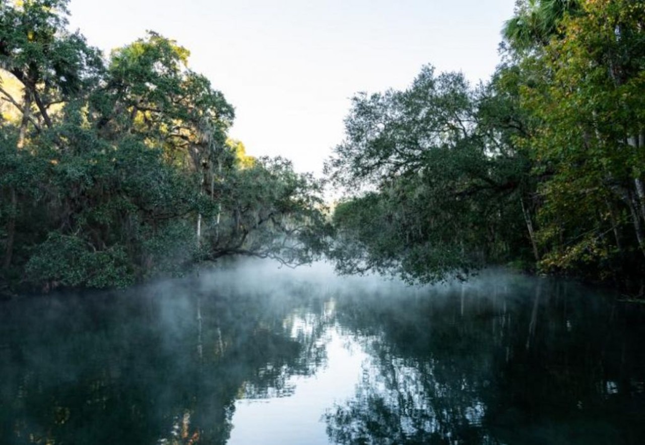 Blue Spring State Park 
2100 W. French Ave., Orange City
Located just an hour and a half north of Orlando, Blue Spring is like taking a step back in time, away from the hustle and bustle of the concrete jungle. It&#146;s the perfect place to just relax.
Photo via Blue Spring/Website