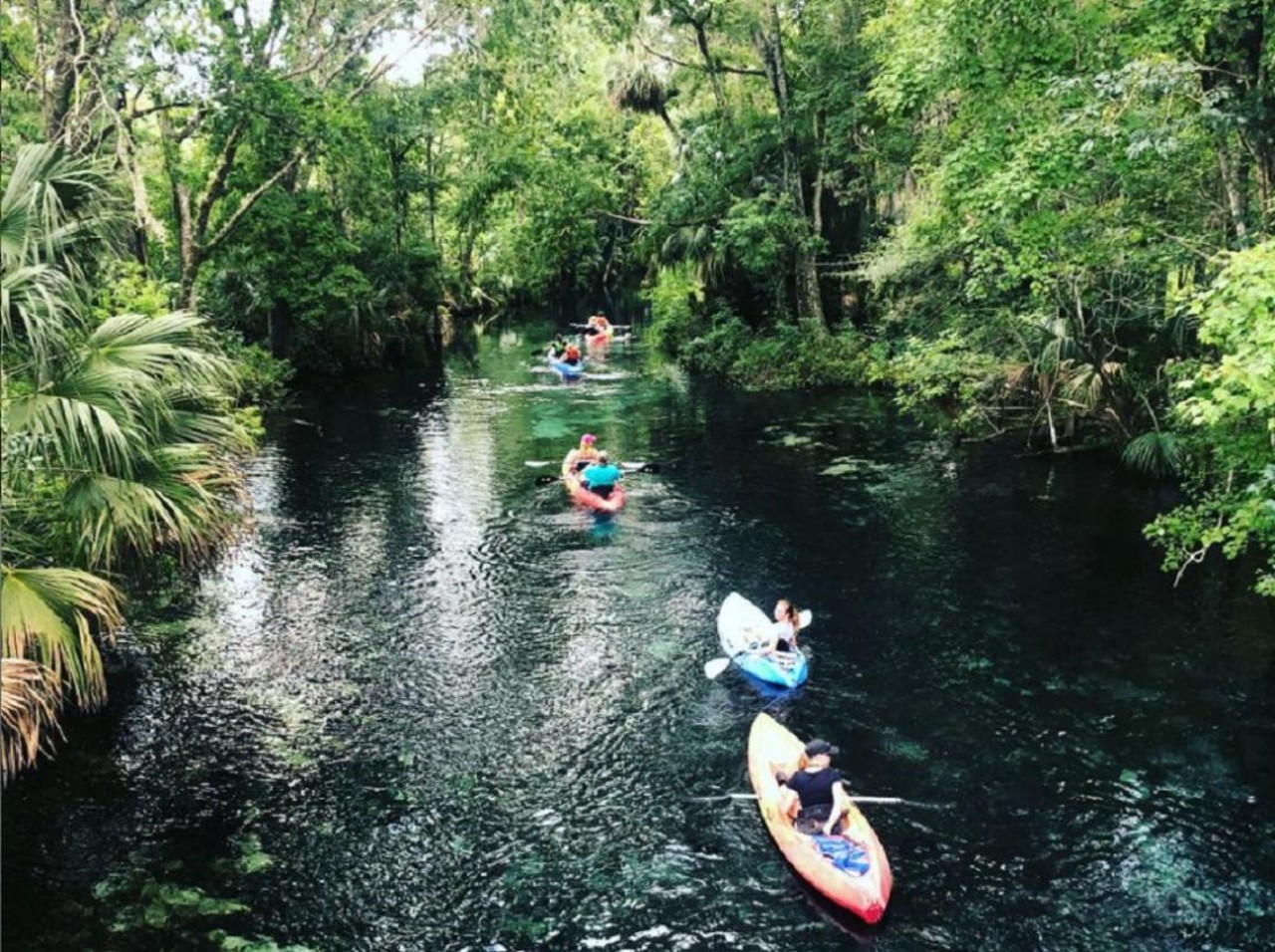 Silver Springs State Park 
1425 N.E. 58 Avenue, Ocala 
Whether your paddleboarding, kayaking, taking a swim, or enjoying a glass-bottomed boat tour, Silver Springs has plenty of breathtaking sights to take in and enjoy.
Photo via Silver Springs State Park/Instagram