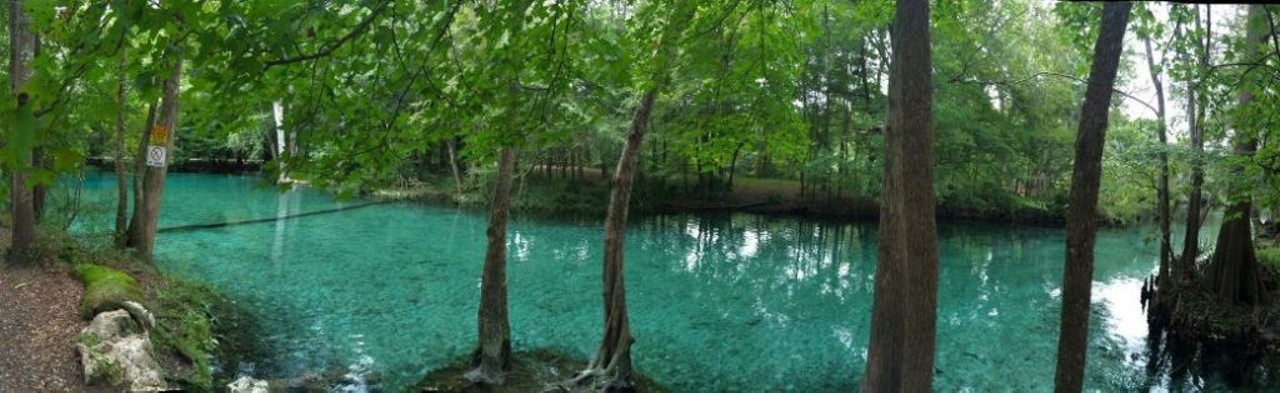 Ginnie Springs 
7300 N.E. Ginnie Springs Road, High Springs
Ginnie Springs&#146; website says it is &#147;a slice of pure Florida.&#148; The spring and campground is surrounded by nature, a deep breath of fresh air away from city life.
Photo via Ginnie Springs/Facebook