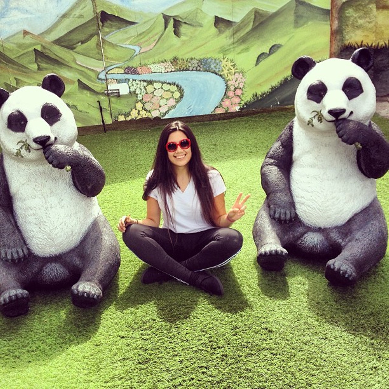 Pretend you're on the panda cam. (Instagram photo via @veveebbyx)