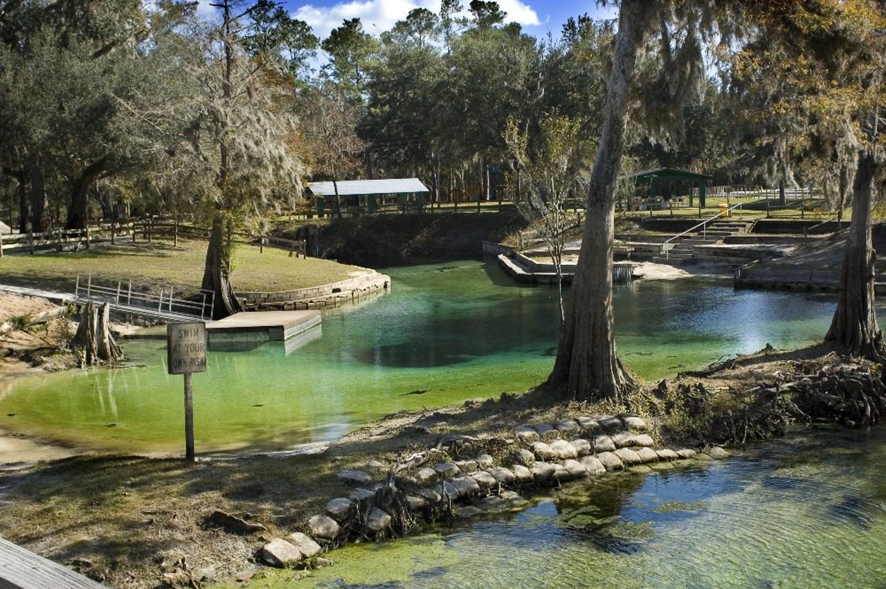 Hart Springs Park
4240 SW 86th Ave., Bell | Distance: 2 hours 20 minutes 
The water is 72 degrees year-round at Hart Springs, which makes it the perfect place to cool off in Florida. Bring a tube for a lazy swim day, or grab a snorkel to see unique shells on the spring bottom up close. Swimmers have also found arrowheads hidden between the rocks.
Photo via Adobe.