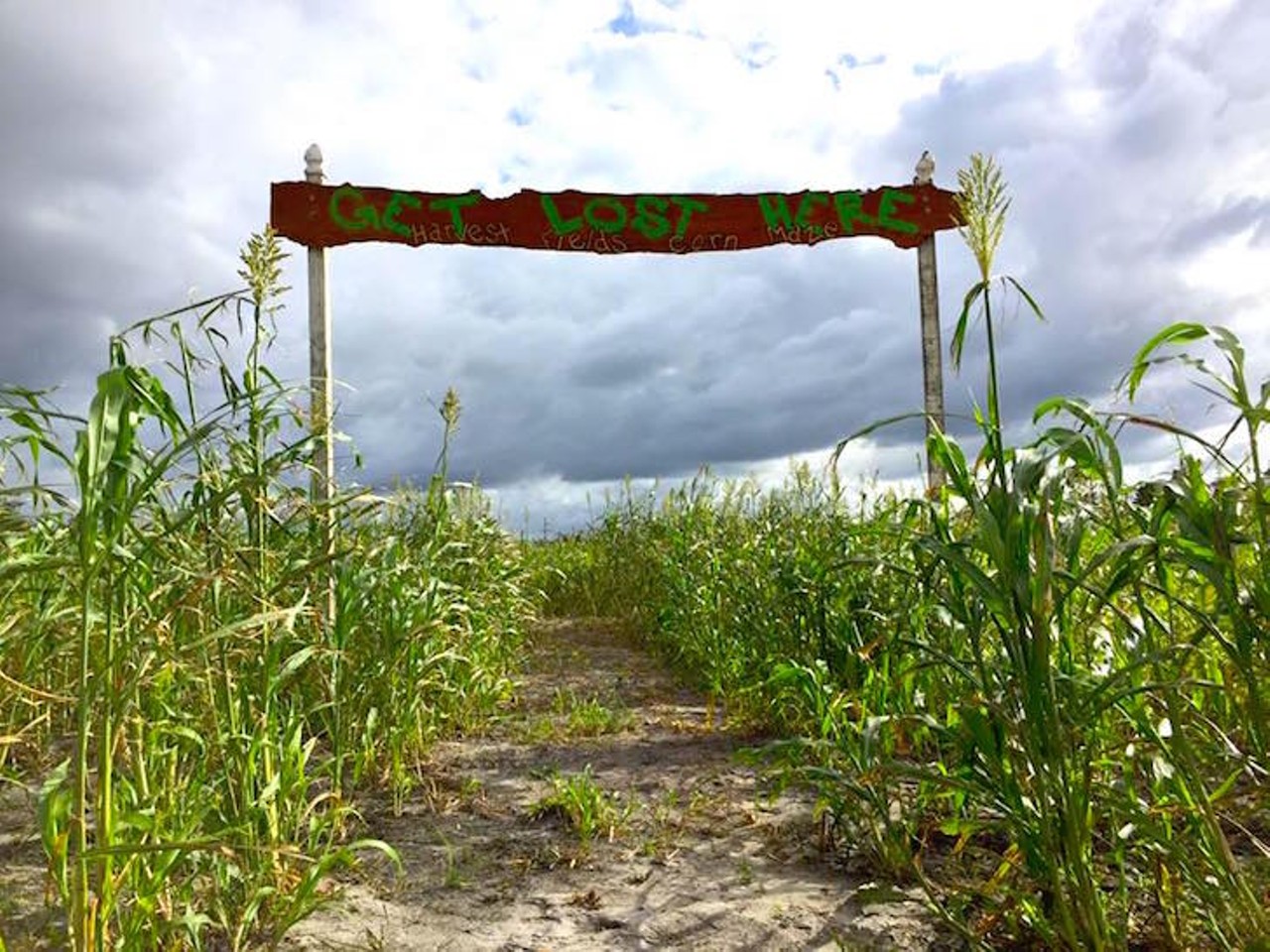 Harvest Fields Corn Maze
2594 LPGA Blvd., Daytona Beach, 386-801-1810
Harvest Fields is giving you the chance to test your escape abilities in the light and dark on weekends from Oct. 7 - 29. Daytime mazes are open Saturdays from 10 a.m. - 5 p.m. and Sundays 11 a.m. - 5 p.m. This year the farm has also opened a flashlight maze on Friday and Saturday nights from dusk to 10 p.m. If you attended last year, you&#146;ll need to enter a new address into your GPS, as the event has moved to a new larger location. Entry is $10 for all events.
Photo via Harvest Fields Corn Maze