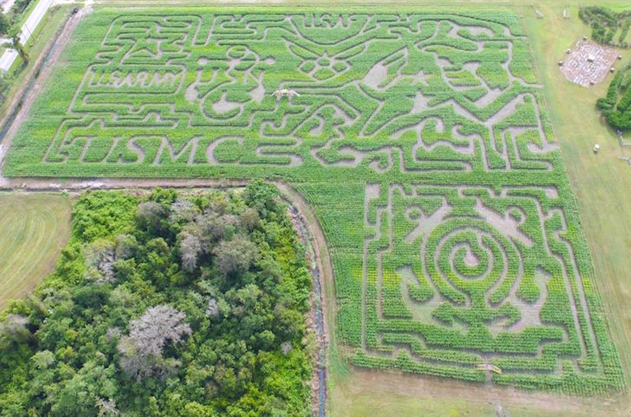 Long & Scott Farms
26216 County Road 448A, Mount Dora, 352-383-6900 
Since 2003, Long & Scott Farms has been working to grow its 7-acre corn maze into a local tradition. This year&#146;s events will follow the theme of first responders and also include tree, rope and mist mazes, as well as a labyrinth. Try your escape for $12 on Saturdays and Sundays from Sept. 30 - Dec. 10.
Photo via Long & Scott Farms/Facebook
