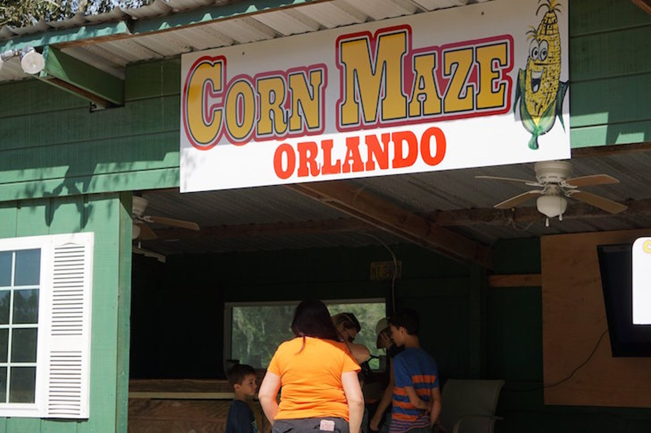 Corn Maze Orlando
15239 Lake Pickett Rd., 407-929-0970
This corn maze and pumpkin patch will be open daily from 10 a.m. to 6 p.m, starting this weekend at the Painted Oaks Academy. The corn maze will close on Nov. 25 and the pumpkin patch will close on Halloween day. Admission to the pumpkin patch is free, but admission to the corn maze is $12 for adults and $10 for children aged two to 17. This year, there will be a bounce village, slides and swings, live music and more.
Photo via Painted Oaks Academy/Facebook