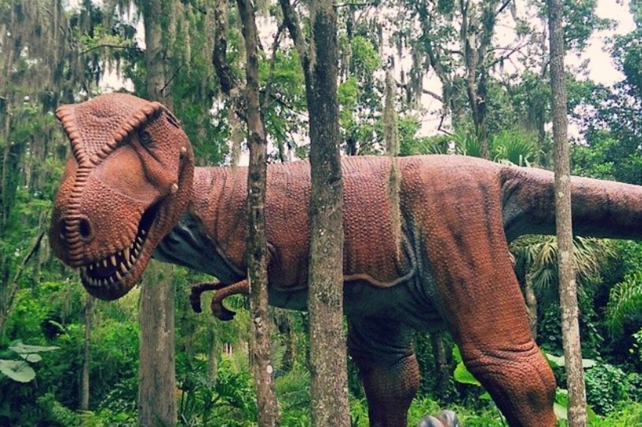 Dinosaur World
Even if they don&#146;t go there, most locals seem to have a bit of an affinity with this odd roadside attraction famous for its life-sized dinosaur statues that sit alongside I-4. The attraction is a popular spot for local social media personalities. A trip to Tampa just wouldn&#146;t be the same without some odd sights along the way. 
Photo via Dinosaur World/Instagram