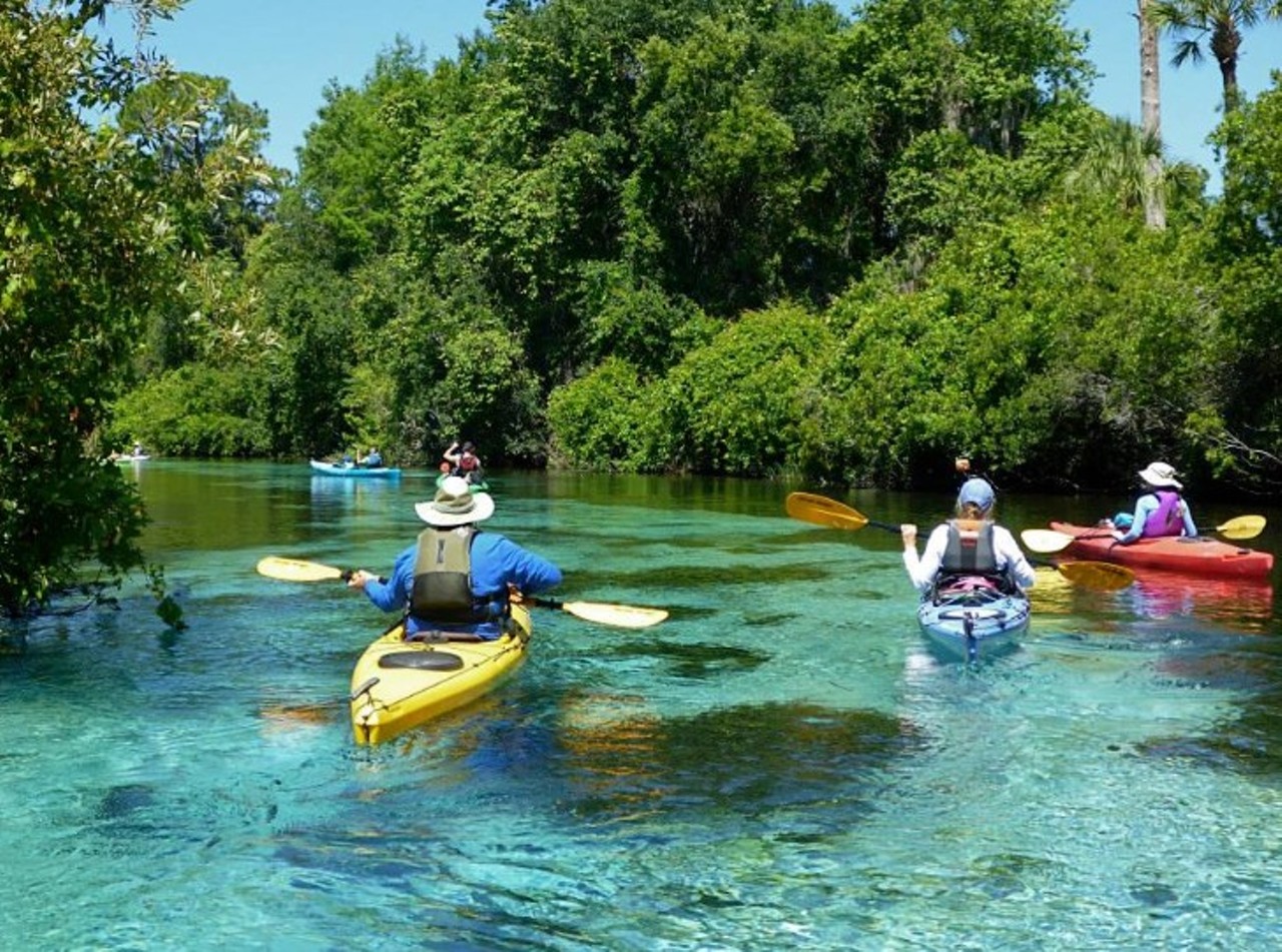 Grab your crew and come kayak with the best.
(407) 924-3375, 3208 E Colonial Dr #261, Orlando Adventures in Florida 
Whether you are trying to test your limits with one of their weeklong kayaking trips through the Florida Everglades, or if you are just trying to enjoy your day off in Orlando, this company offers multiple packages that will take you across the state for a spectrum of skill levels.
Photo via Adventures in Florida/Facebook