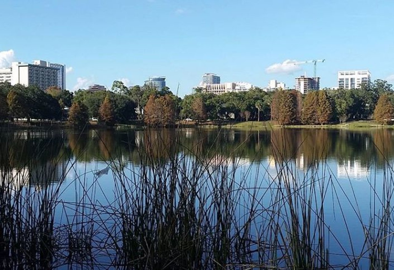 Lake Cherokee Park  
474 Palmer St
This little park has a view over Lake Cherokee and wraps around most of it, a perfect place to walk on the water.
Photo via jenaleah_ / Instagram