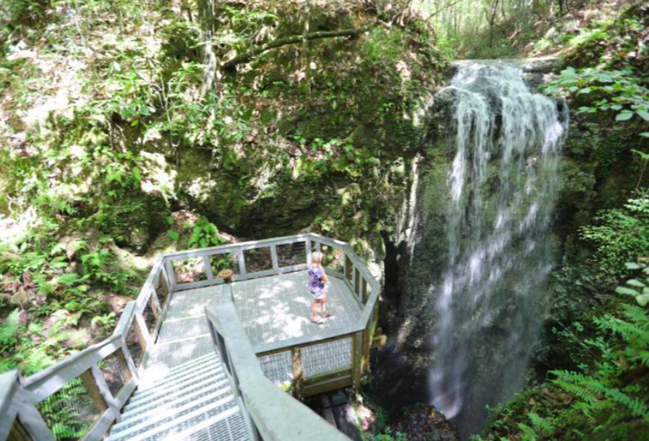 Falling Waters State Park
5 hours and 21 minutes from Orlando
Maybe surprisingly, Florida is home to several secret natural waterfalls. Falling Waters State Park in the Panhandle offers some of the best views and trails for waterfall sightseeing.