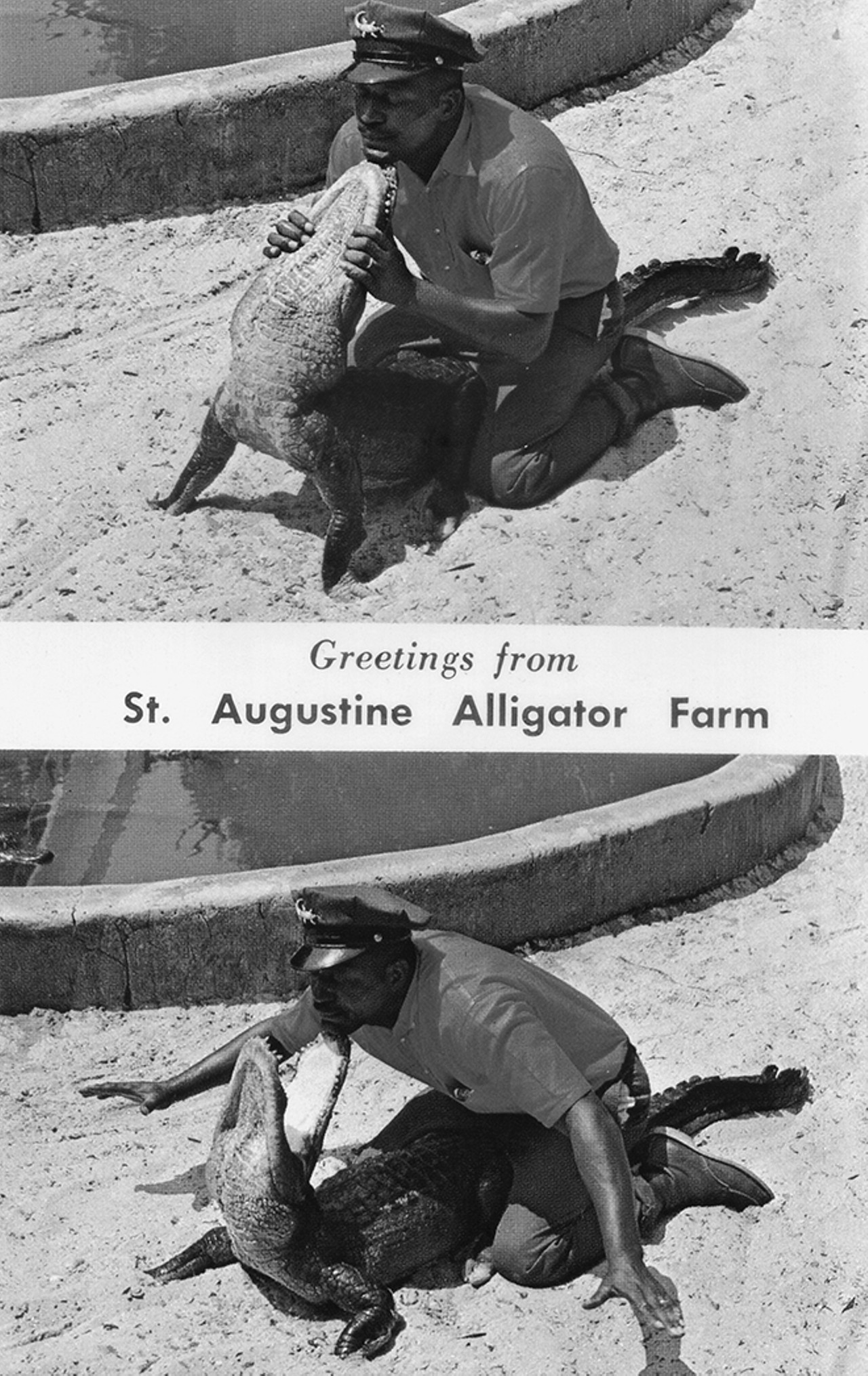 St. Augustine Alligator Farm alligator wrestler Christopher Lightburn was featured on a billboard just outside St. Augustine, welcoming tourists. He was also known as the &#147;Mayor of Lincolnville,&#148; for his community service in this historic neighborhood established by former slaves in 1866. By permission of Lu Vickers. Reprinted with permission of the University Press of Florida.