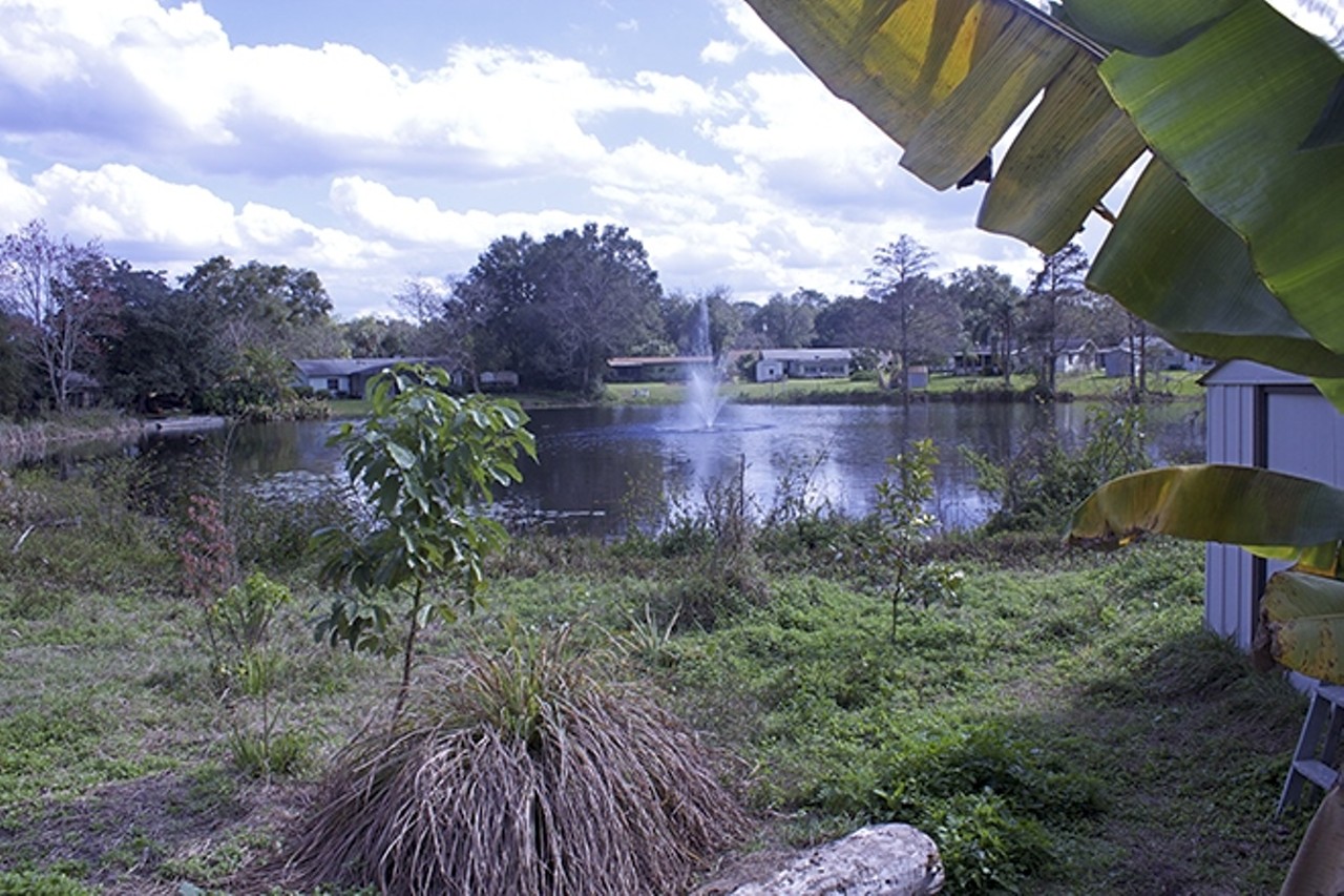 A communal lake/pond is shared by Law's immediate neighbors