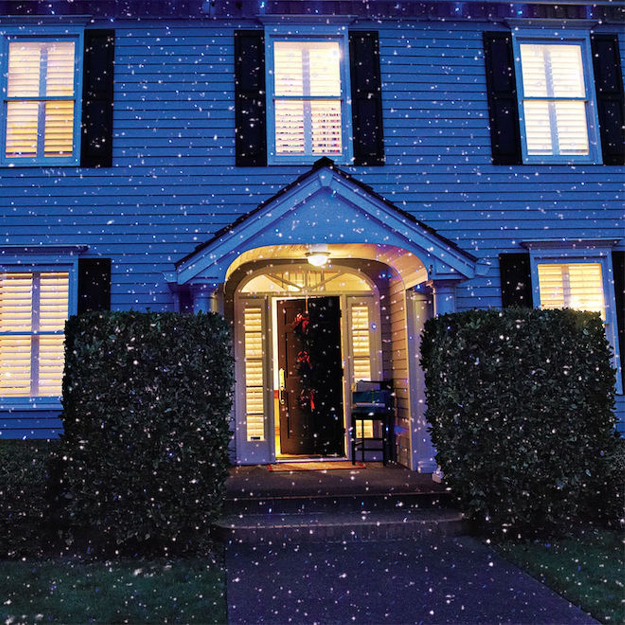 A firefly landscape laser light that makes it look like 10,000 lightening bugs just drifted into your yard.