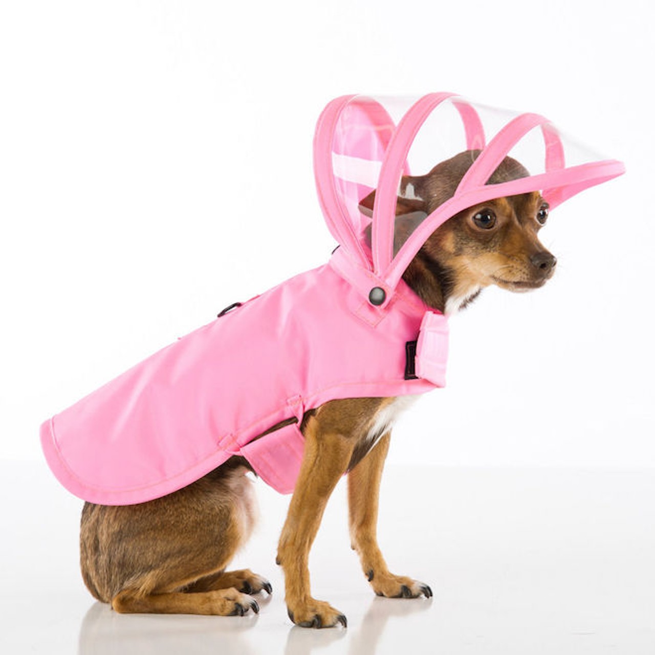 This raincoat for dogs with a see-through hood.
