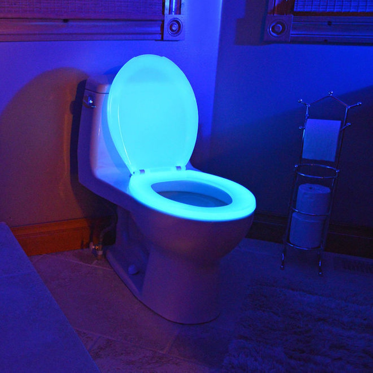 A glow-in-the-dark toilet seat.