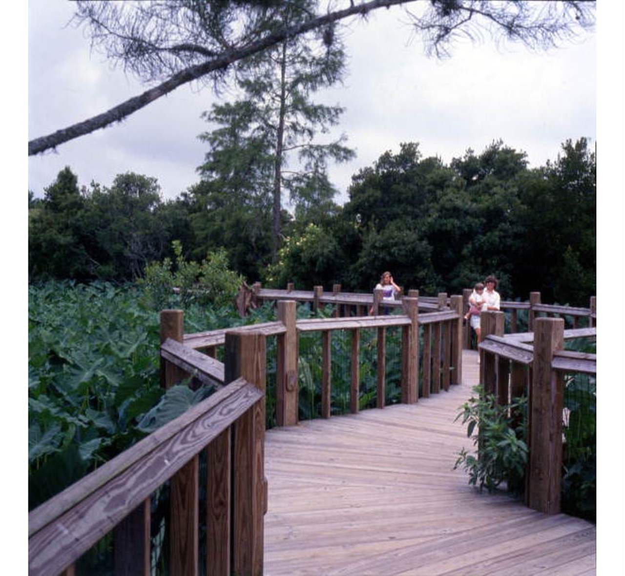 Visitors walking on footbridgeState Archives of Florida, Florida Memory