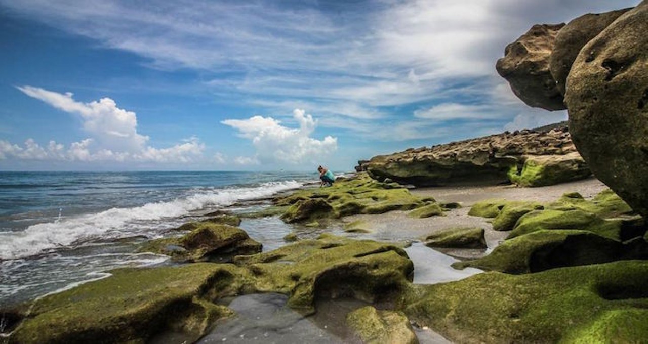  Blowing Rocks Preserve 
574 South Beach Road, Hobe Sound, Approximately 2 hours 30 minutes 
Named for its Anastasia limestone shoreline, Blowing Rocks Preserve is a barrier island sanctuary that underwent a lot of coastal habitat restoration. Daily beach access is $2, and you can swim, scuba and snorkel. During the summer, loggerhead turtles use Blowing Rocks Preserve as a nesting ground, so there is a chance for you to spot a couple.
Photo by  mashakhvasha/Instagram
