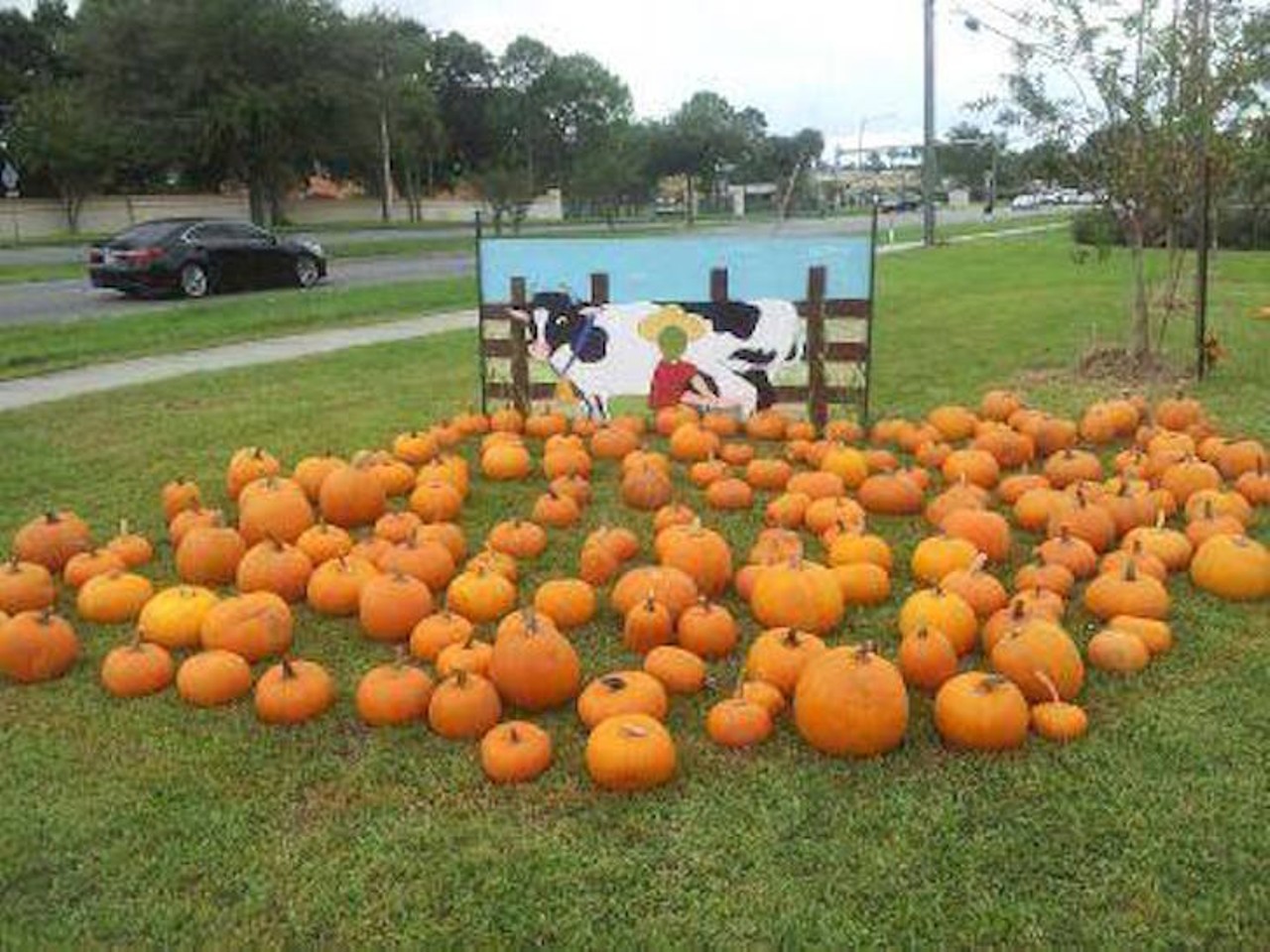 Central Parkway Baptist Church
5281 Central Florida Parkway, 407-352-8664 
Pumpkins will be available Oct. 12-31, so come out with your friends and family to pick the best one! 
Photo via Central Parkway Baptist Church/Facebook