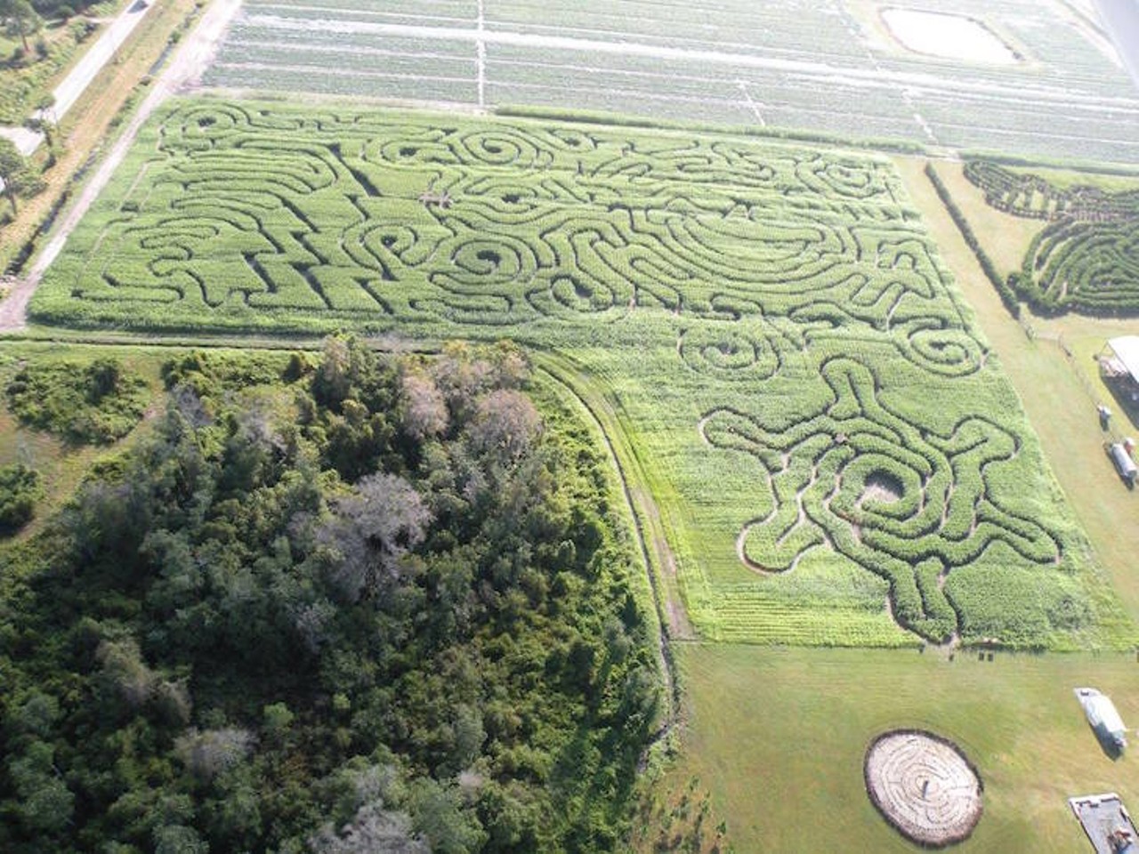 Long & Scott Farms
26216 County Road 448A, Mount Dora, 352-383-6900
Starting as a small 7-acre cornfield, this maze grew into a local tradition. Families can enjoy the twisting pathways of the large corn maze; for the young ones, a small 1-acre maze is available. Other attractions include a gigantic jumping pillow, 60-foot super slide, hayrides, a playground and kid fishing for just $2. The maze opens for its 14th season on Oct. 1 through Dec. 11. Admission is $12 for ages 4 and above.  
Photo via Scott's Maze Adventure/Facebook