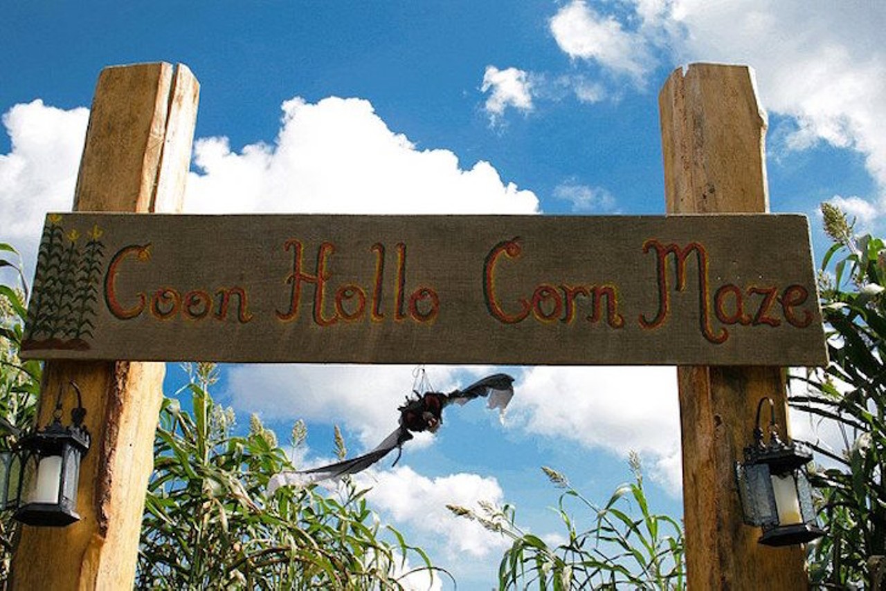 Coon Hollo Corn Ranch
22480 U.S. 441, Micanopy, 352-591-0441
Wander through a 3.5-acre corn maze, take a hayride to feed some cows, or take a ride on a tractor-powered train. The ranch is open on weekends from Oct. 7-Nov. 6. Admission is $10. We assume that there are many, many raccoons on the property.
Photo via Ocala/Marion County Florida/Facebook