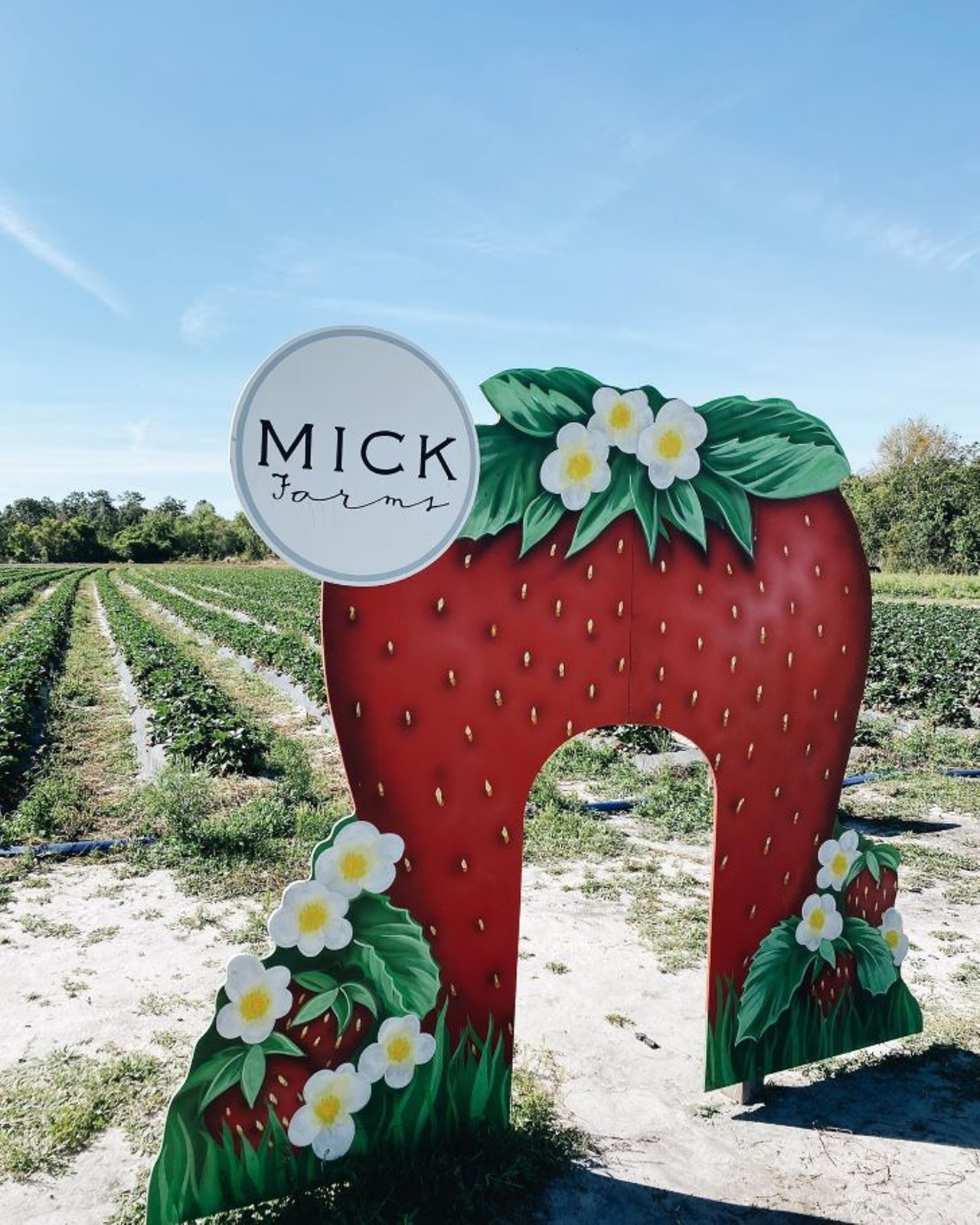 Mick Farms 
4261 Canoe Creek Road, Saint Cloud
Mick&#146;s is full of fresh food to bring home, but their charming U-Pick strawberry field is an ideal family-friendly outing. Check out their website and Facebook for their hours.
Photo via Mick Farms/Facebook