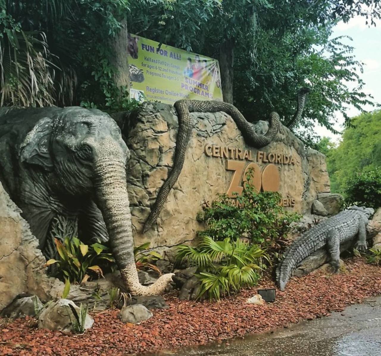 Central Florida Zoo and Botanical Gardens
3755 US-17, Sanford, FL, (407)-323-4450 
Estimated driving distance: 30 minutes
This little zoo right outside of Orlando has a variety of plants and animals to discover and is a great way to spend a some time outside the city for the day.
Photo via findaj/Instagram