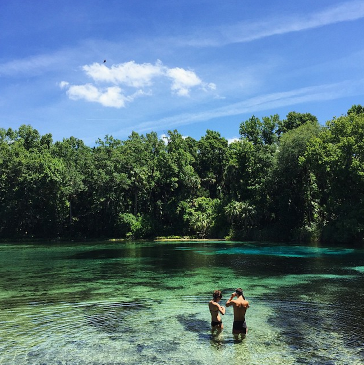 Alexander Springs Recreation area
Estimated driving distance from Orlando: 1 hour 10 min.
Located in the Ocala National forest, these springs are surrounded by forest animals and a ton of activities including snorkeling, swimming, canoeing and more. Camping is first come, first serve for $22 a night. 
Photo via ayce09/Instagram