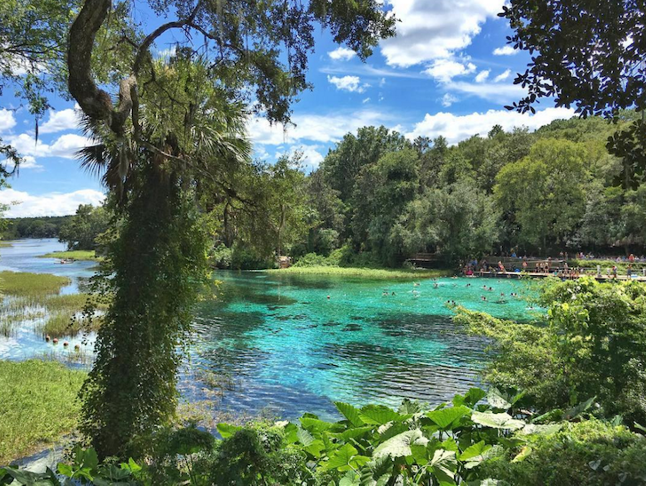 Rainbow Springs
Estimated driving distance from Orlando: 1 hour 34 min
Being Florida&#146;s fourth largest spring, this spot is famous for canoeing, tubing and more&#133;.within the designated areas. The available campground is 9 miles from the day use area with water and electricity and fishing available nearby. 
Photo via unashamed15/Instagram