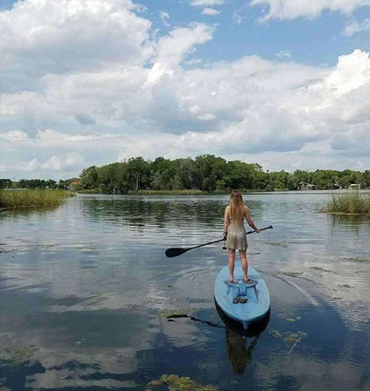 Crystal River
544 N. Citrus Ave., Crystal River
Distance from Orlando: 1 hour, 33 minutes
Whether you want to rent a beginner board or a standard board for anywhere between $25 and $85, Manatee Paddle offers daily rentals and tours for you to enjoy and explore Crystal River. 
Photo via juliesmithxxvii/Instagram