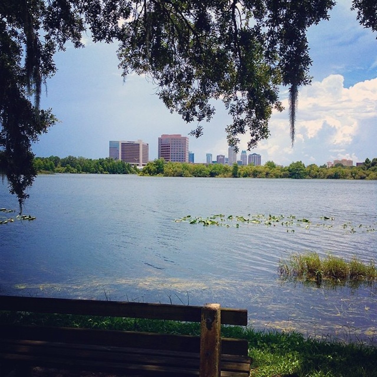 Lake Ivanhoe Park
57 S. Ivanhoe Blvd.
Distance from Orlando: 12 minutes
A backdrop of buildings against the still water near the I-4 bridge is a perfect destination to go paddleboarding. Lake Ivanhoe lies in the heart of downtown Orlando and offers a great area to spend a day on the board. 
Photo via grantgentry/Instagram