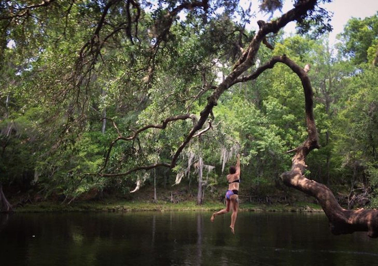 Poe Springs Park
28800 Northwest 182nd Avenue, High Springs
2 hours away
Just up the road from Gainesville, this spring is a popular locale for University of Florida students escaping the stress of chemistry labs and calculus exams. The water is shallow, but refreshingly cool on a hot day.
Photo via __clairepear__/Instagram