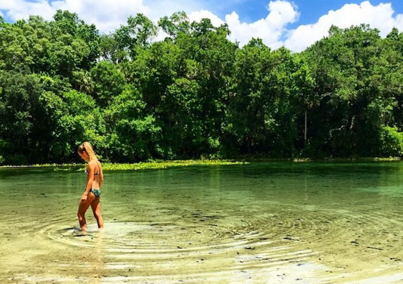 Alexander Springs
49525 County Road 445, Altoona
1 hour, 10 minutes away
Located in the eastern portion of the Ocala National Forest, this refreshing spring stays 72 degree year round, so no matter how horridly hot the Sunshine State gets, you&#146;ll always experience a dip at just the right temperature. 
Photo via joelmstrong/Instagram