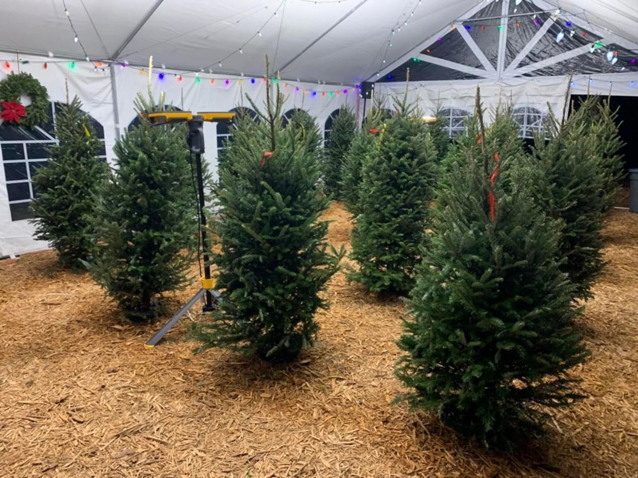 Holly Jolly Meadows Christmas Tree Farm 
321-328-8951, 4705 Meadow Green Road, Mims
Although this is Holly Jolly&#146;s first Christmas tree season, don&#146;t discount their premium Christmas trees. Wreaths and mini trees are also available. 
Photo via Holly Jolly Meadows Christmas Tree Farm/Facebook