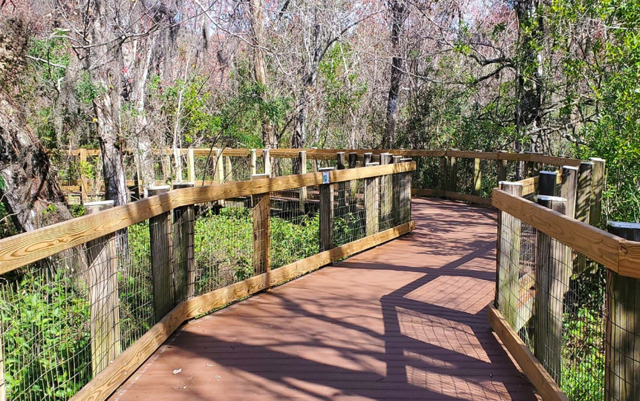 Oakland Nature Preserve
747 Machete Trail, Oakland
This trail cuts across a boardwalk along the Lake Apopka shoreline before twining into a shady oak hammock. Hikers have a good chance of spotting animals in the adjacent wildlife preserve. Largely considered a hidden gem, this 150-acre preserve and its network of trails is nestled between Clermont and Winter Garden.