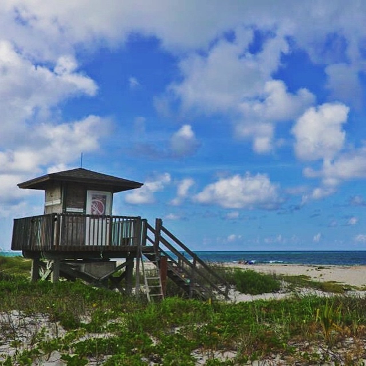 Round Island Beach Park
Round Island has some of the best observation decks in the state, so you don't have to tire yourself out in a kayak to see a school of Florida manatees. Pull the boat up to one of their ramps and go fishin'.
1 hour and 55 minutes
Photo via _chrisgent/Instagram