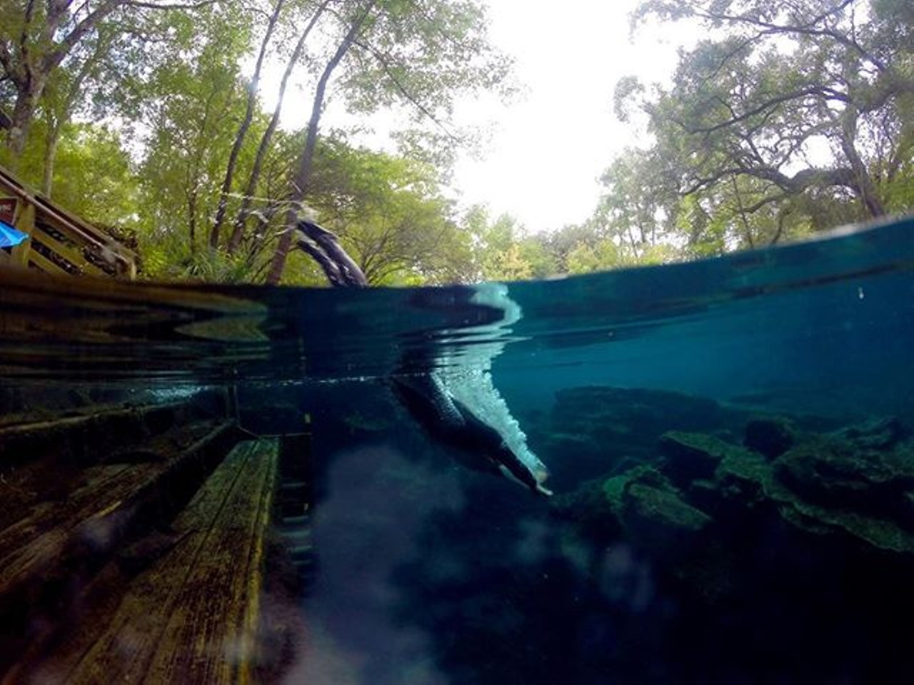 Wes Skiles Peacock Springs State Park
18081 185th Road, Live Oak, FL 32060
Estimated travel time: 2 hours, 54 minutes from Orlando
Home to one of the nation&#146;s largest underwater cave systems, Peacock Springs also has an award winning natural trail. Guests can go swimming and snorkeling in the two springs and six sinkholes too.
Photo via calibreann_/Instagram