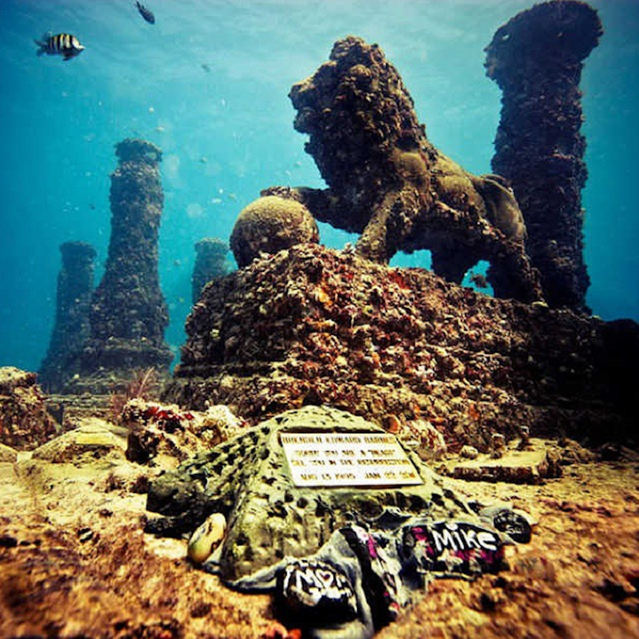Neptune Memorial Reef
300 Alton Road, Miami Beach | 954-655-3592
Cremated ashes are mixed with cement to form these super goth memorials that make up a 16-acre artificial reef called Neptune Memorial Reef. These sunken monoliths are located about three miles off the coast of Key Biscayne.
Photo via amicsgais/Instagram