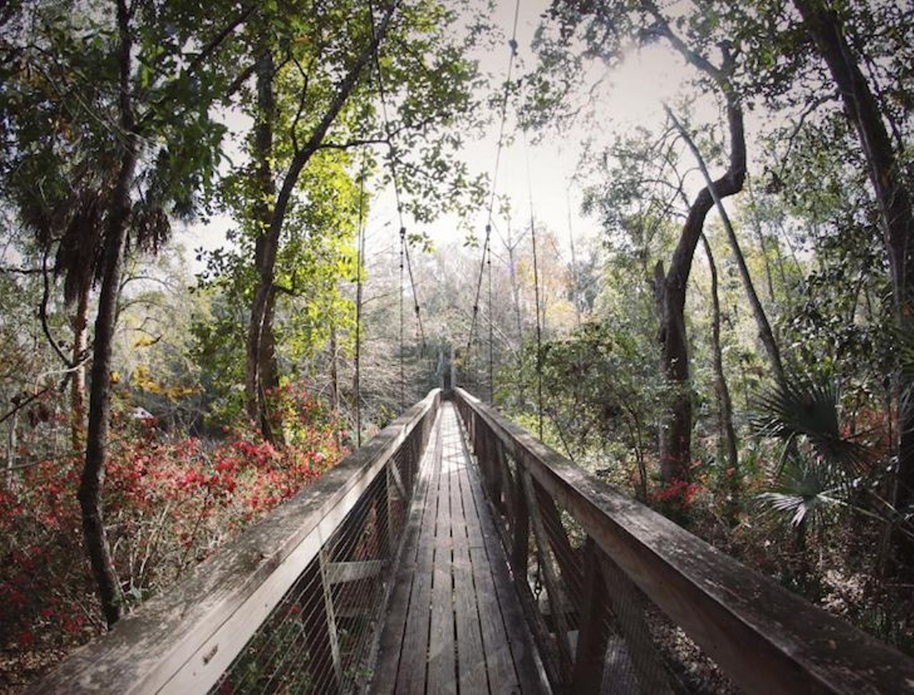 Ravine Gardens State Park
1600 Twigg St., Palatka, (386) 329-3721
The uncharacteristic hilly terrain of this part of Florida calls for a hike, complete with a suspension bridge nestled in the canopy of the surrounding forest. 
Photo via sxvgejeremy/Instagram