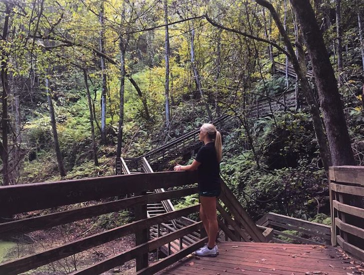 Devil's Millhopper Geological State Park
4732 Millhopper Road, Gainesville, (352) 955-2008
Follow the stairs 120-feet down into one of Florida's oldest limestone sinkholes and search for the fossilized treasures researchers have been finding in this park for decades.
Photo via jennnnhall/Instagram
