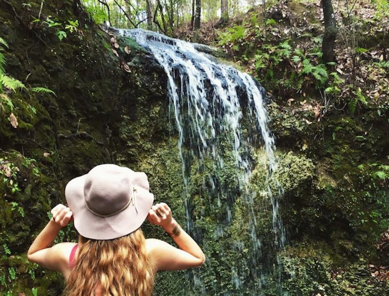 Falling Waters State Park
State Park Road, Chipley, (850) 638-6130
In a place as flat as Florida, waterfalls are pretty rare, so it isn&#146;t every day you&#146;ll get to see wonders like this 73-foot beauty cascade into a sinkhole.
Photo via tessa_lations/Instagram