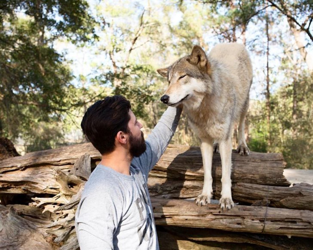 Seacrest Wolf Preserve
3449 Bonnett Pond Road, Chipley, (850) 773-2897
It&#146;s hard to think of many things more awesome than hanging out with a pack of wolves in their natural habitat. These pups might even give you the perfect souvenir&#151;a slobbery wolf kiss.  
Photo via danventure/Instagram